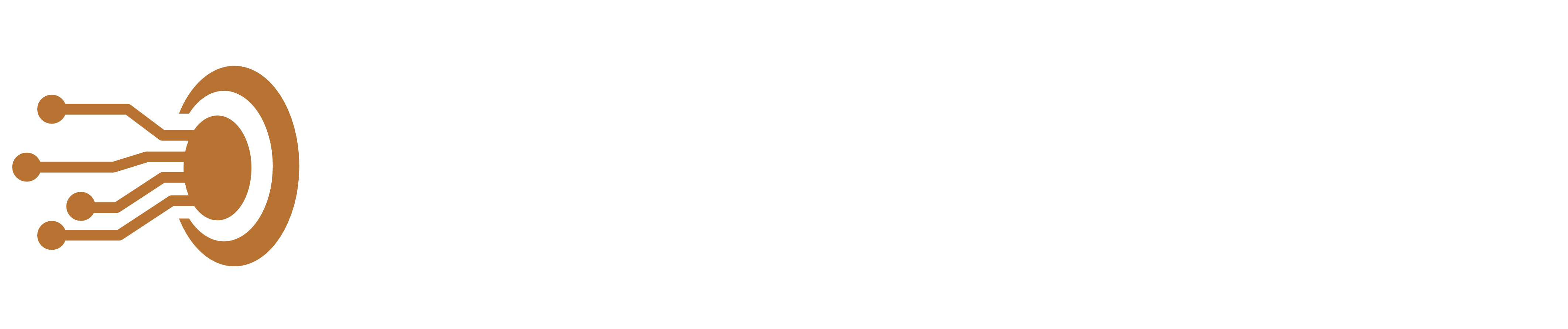 TechOptima Solutions